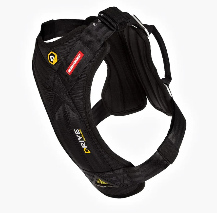 Dog Harness & Car Seat Belt Tether Set